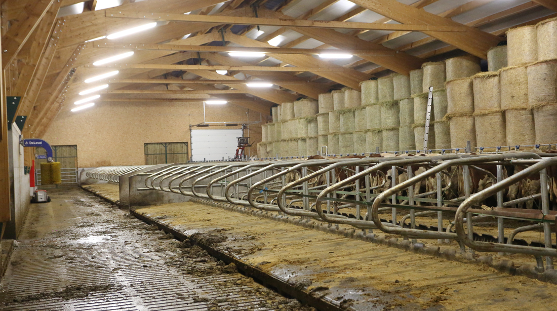 Soubrier Besse - Saint Flour - Process élevage & productions
